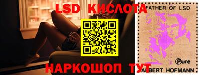 PSILOCYBIN Кунгур