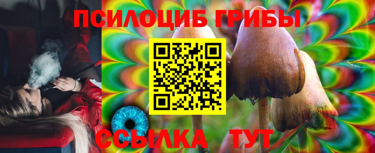 Елец  Галлюциногенные грибы Psilocybe  Вход с VPN 